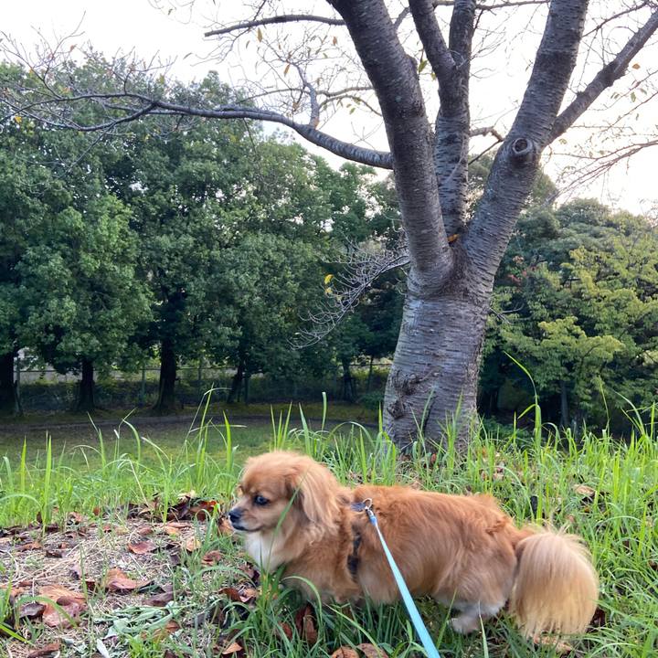 1dc5ff82 8991 40cd b690 a7e1b19c55a9 1600810345058