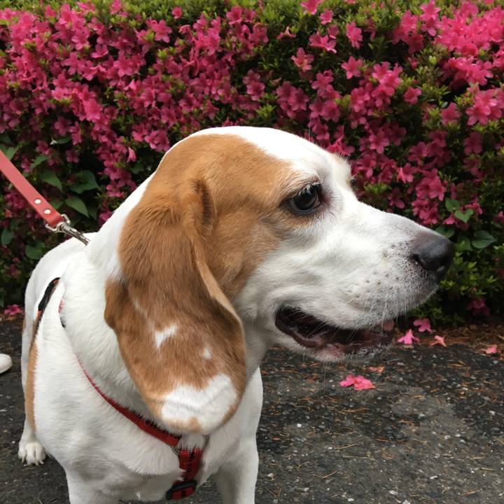 1dc6177e 52f0 43e3 9da3 4e61cdec017d 1526012746016