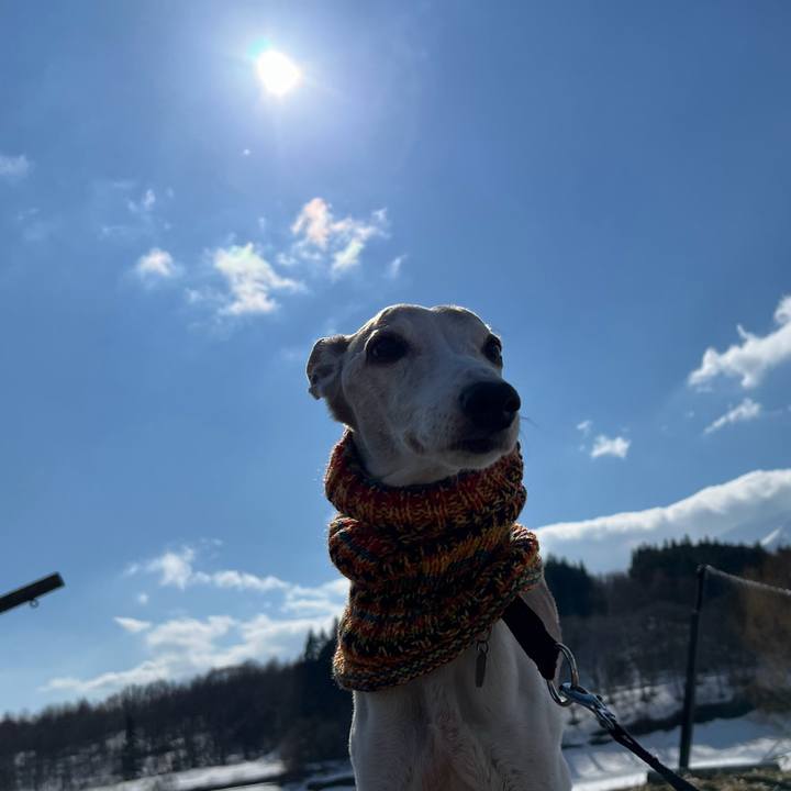 1dc62196 c109 49de 85f5 ee61ec037fb6 1774168230863