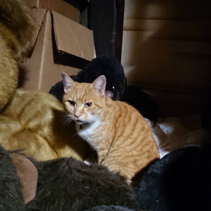 1dc653ad 949f 450d b774 6c55f8ae6133 1604316496530