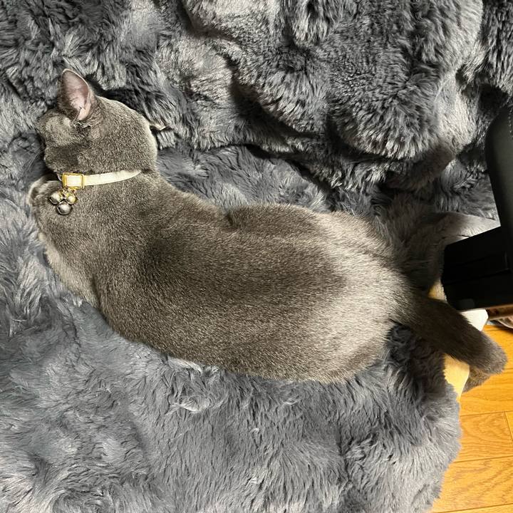 1dc668ce dc4a 4647 b2c2 eb313d61882e 1697778152021