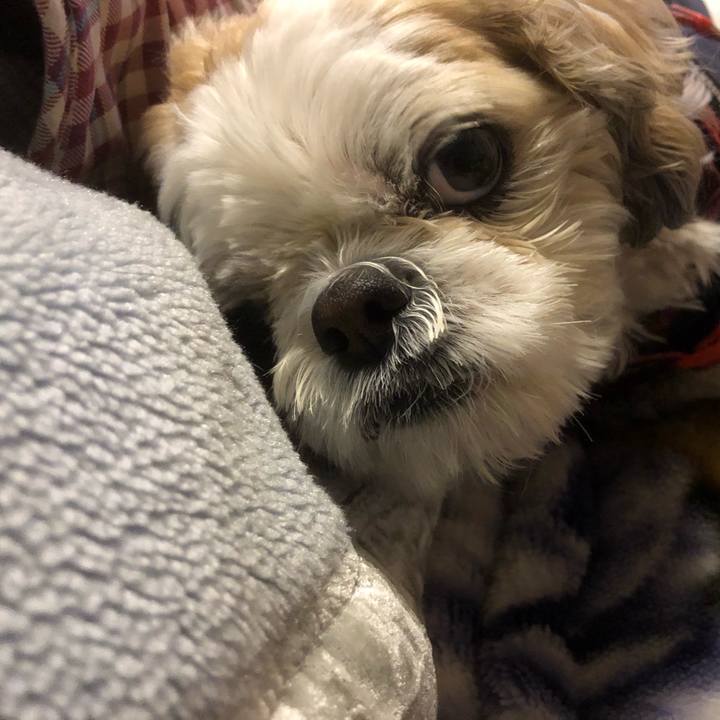 1dc68545 c784 4ff7 b87f 53578b4c9731 1611957255175