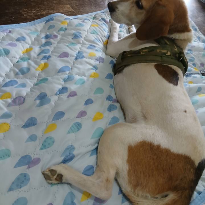 1dc698f3 4a20 4154 8664 f78fdc286866 1755694636732