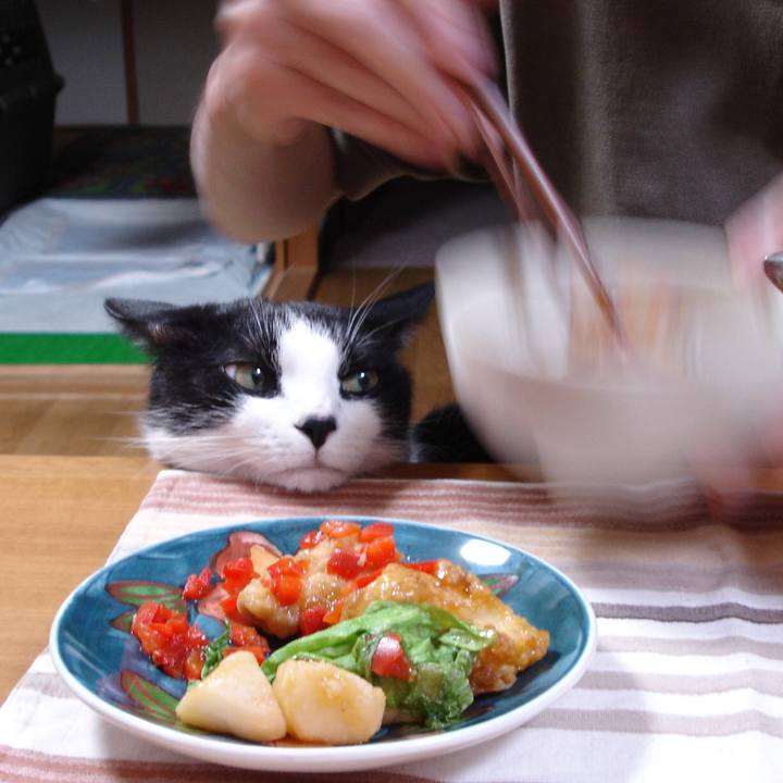 1dc6a909 85e0 49fc a898 535cc4814747 1532942293981