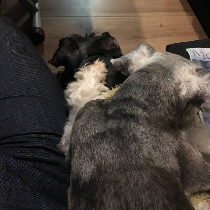 1dc70748 1731 4a6e 96fd c3e86c775ab2 1512736220469