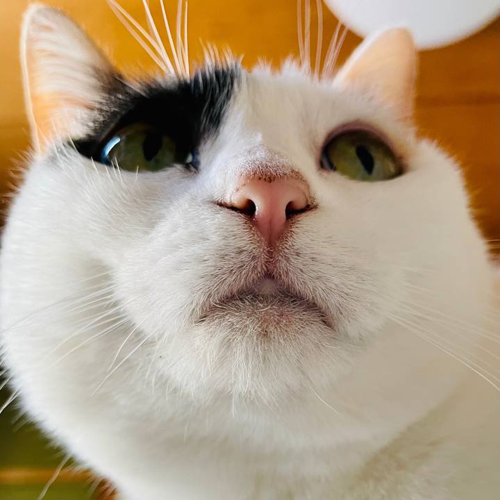 1dc7271f ac2d 45c6 89fc 3d0fc8df518e 1613438633293