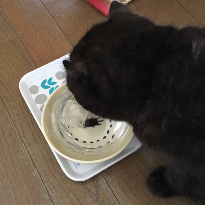 1dc72c10 158e 442c 98b8 3e468957b133 1543029049661