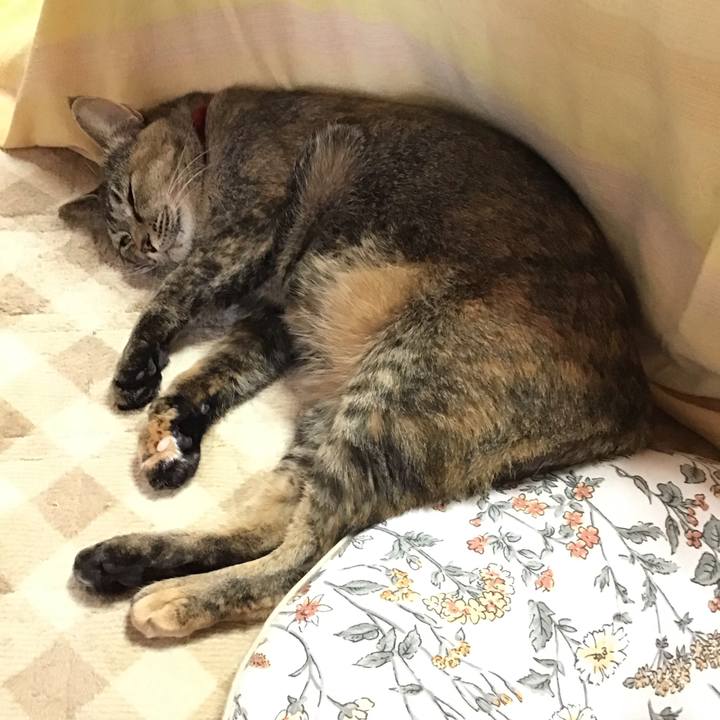 1dc735b9 5c66 439f b059 bc58ba7aeac9 1702027847831