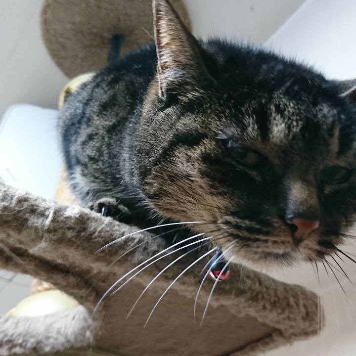 1dc7489e ebb2 421b a792 1b176db4756c 1552715667425