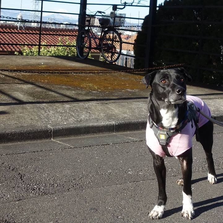 1dc7613c 23fa 4051 b37d b727627f7f85 1645407232628