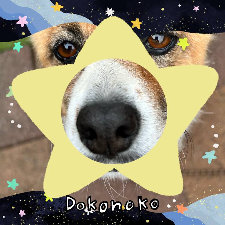 1dc785e0 9155 4707 acc9 79b50dd7ae14 1721060555410