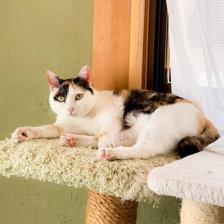 1dc79ca7 4750 483d a026 ae472402de8a 1592962174530