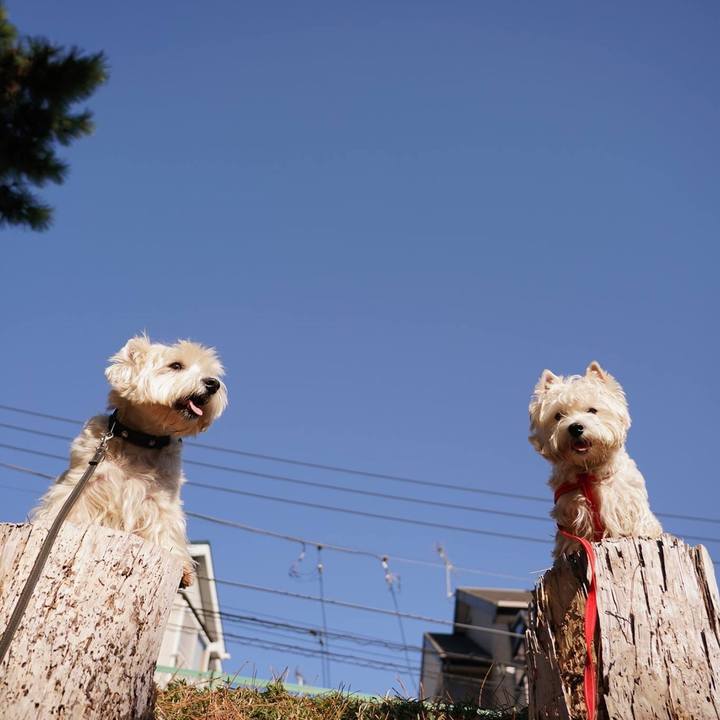 1dc7ab24 5f1a 4f3b a893 11e81b16c32f 1514095238434