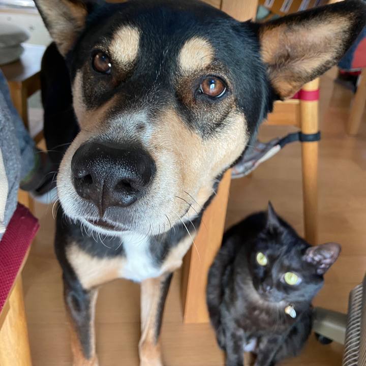 1dc8026d 6230 4cf6 a48f 047a9de89813 1645751438249