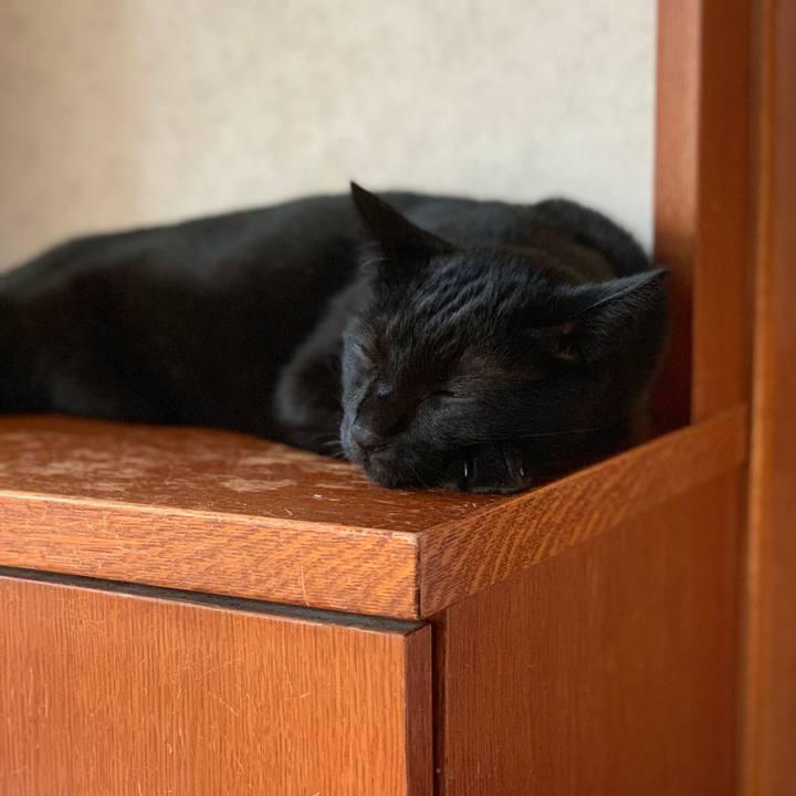 1dc8337d a9fd 46bd 8ab3 9fd5529d6d7c 1569203271676