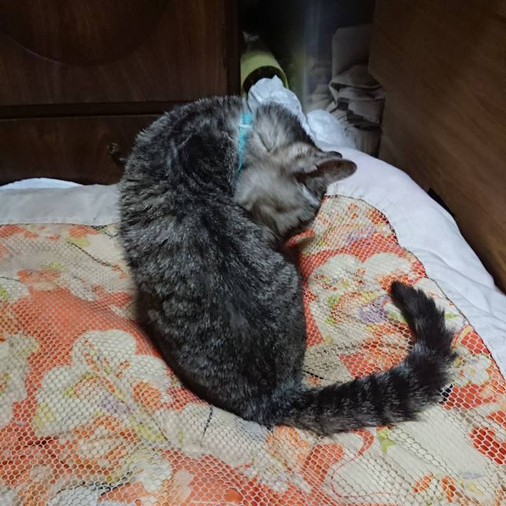 1dc863c5 48d7 400c b218 3cb7fbcad0c2 1571399703793