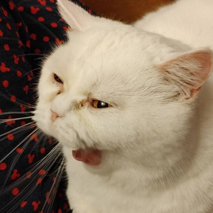 1dc891b4 86fa 4a21 82d5 0446c0f3cb23 1615629389392