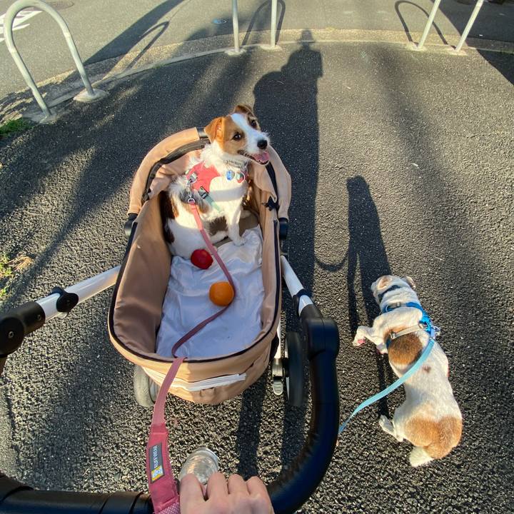 1dc8cb03 3c4a 4f97 9315 d81769592e61 1726537000215