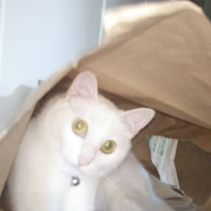 1dc8f3c7 256b 4890 927b 53fc61e66744 1624846930688