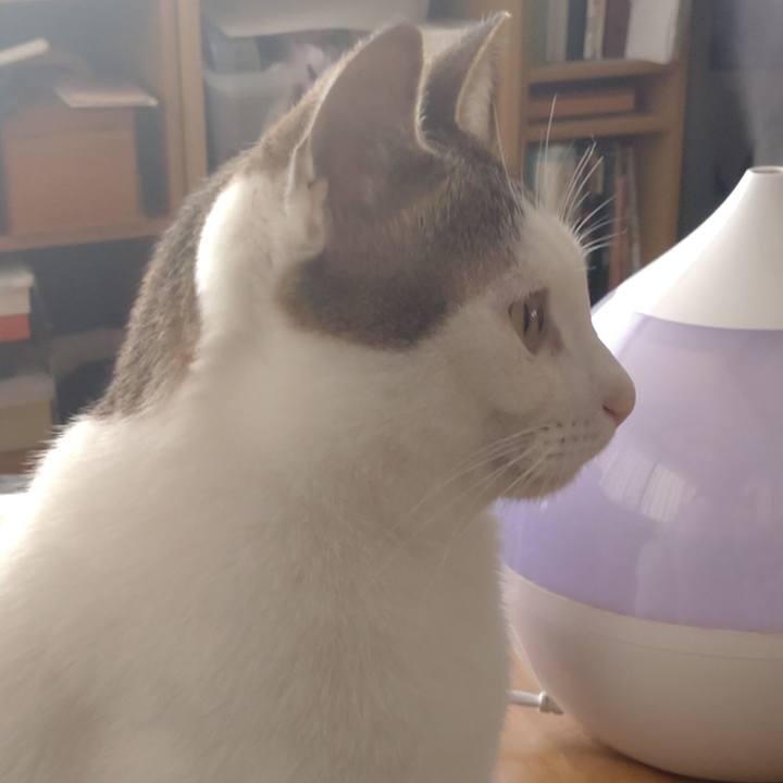 1dc8f612 1a8f 4b05 998e b504a3f0aa92 1672543431224