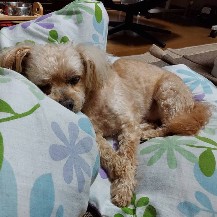 1dc92ffb f11b 46e9 810d 4a7ebaedb83c 1754466978035