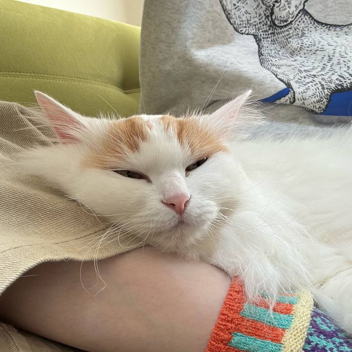 1dc95420 1af3 402a b82e d2a066e6e85b 1776055361433