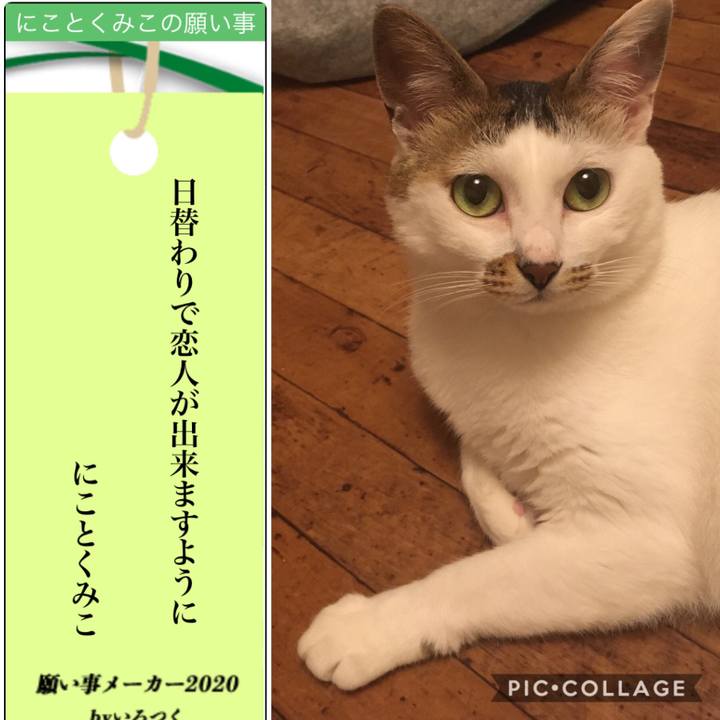 1dc97fbe 2811 4bdb 9935 96d41af4691c 1594085107682