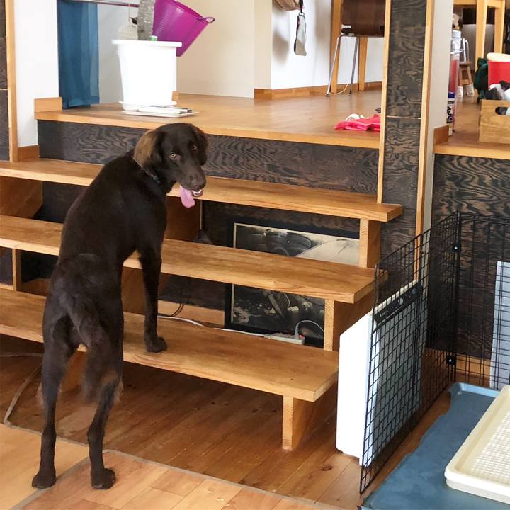 1dc9a67c 0a08 41c2 84f9 736cb5e9dde0 1568078382100