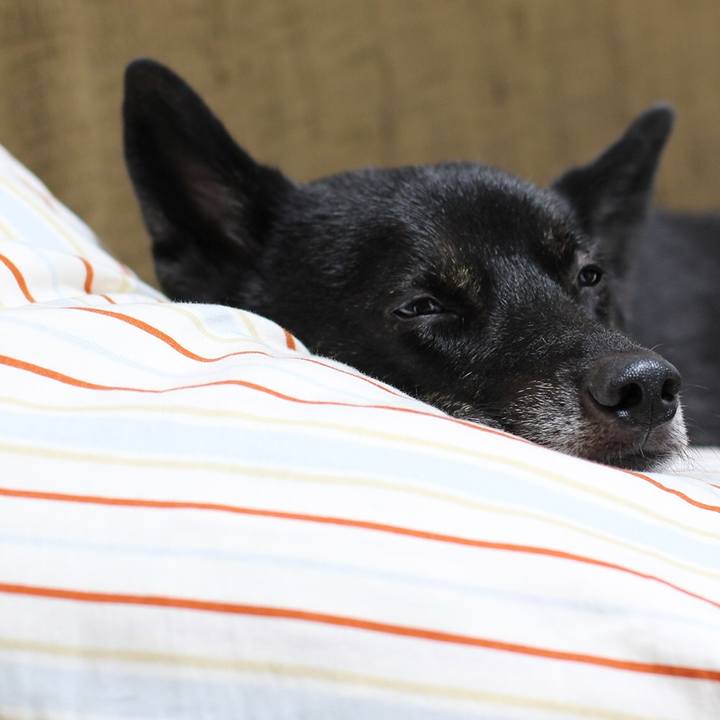 1dc9b010 1134 4e86 90e6 02e2a2a042c3 1602545024332