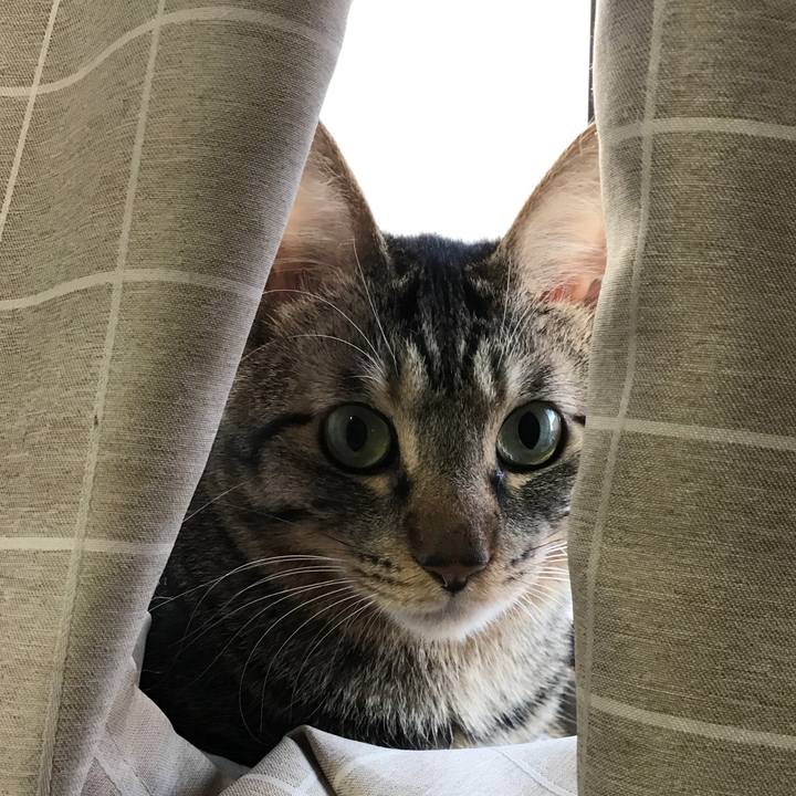 1dc9b482 fe97 4780 a621 0097ac4e4538 1546804266141