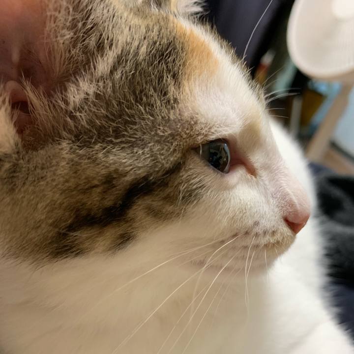 1dc9c7ea ea73 4c5c b1e0 7cd575fcf8f9 1594009937329