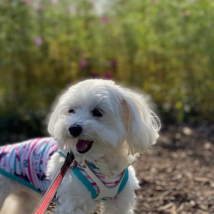 1dca0ff7 c6cd 4de5 afe1 a1ffbd9d4d48 1573103839474