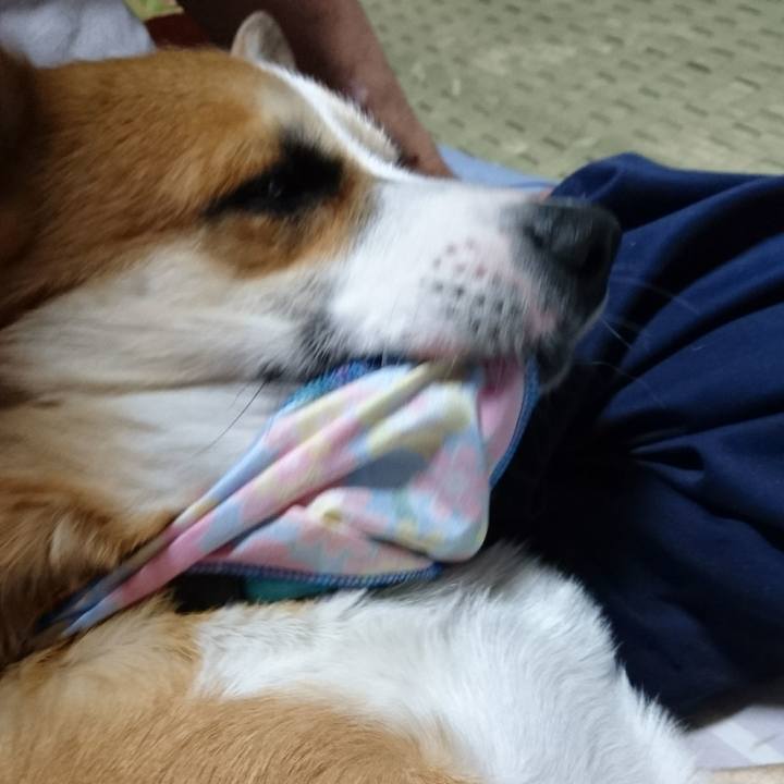 1dca6e7d 6ccc 4d8e 9a39 38b91278fa7f 1615933731608