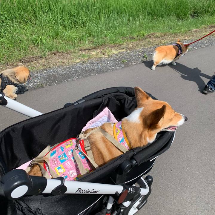 1dca7709 2529 4b4e 9b4c 13b59b188526 1622165671499