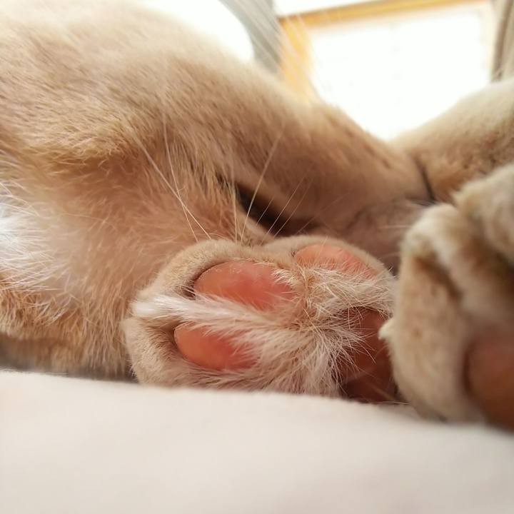 1dcab1d9 674c 468f 9c94 a15009571773 1654930131428