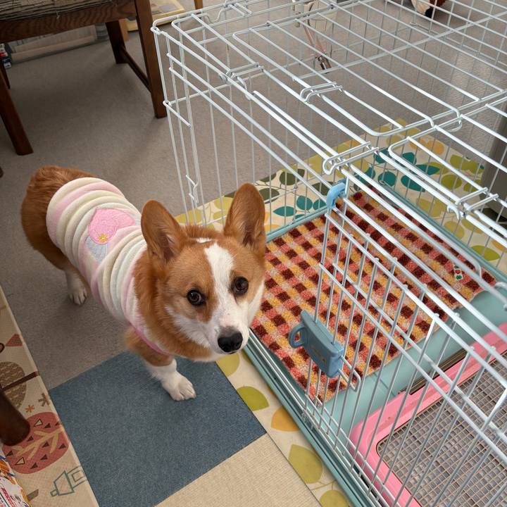 1dcad995 f727 49d4 98ca c826f1c9b129 1767265007146