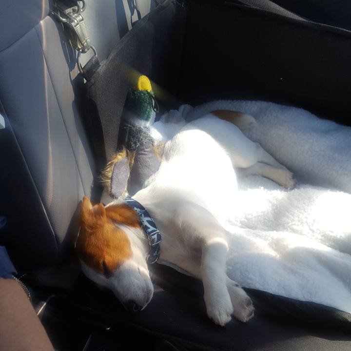 1dcadd9a 02e5 4bf9 a3d1 400588ea4ae3 1552886229821