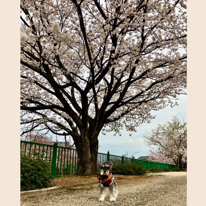 1dcadf71 f104 4ff2 a227 33d9fcb7e0f1 1775267341804