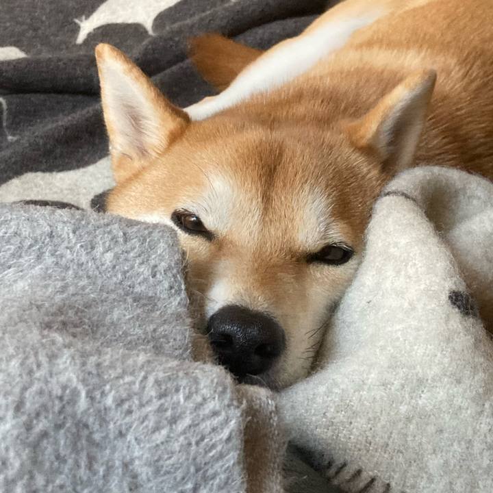 1dcb0cad 381f 4f5b ade3 8f5f68c78003 1672039045968