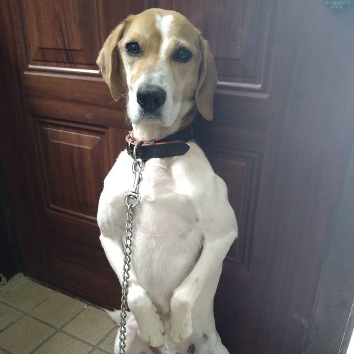 1dcb18ac 0d86 463d 9411 c311c82e9317 1653733158100