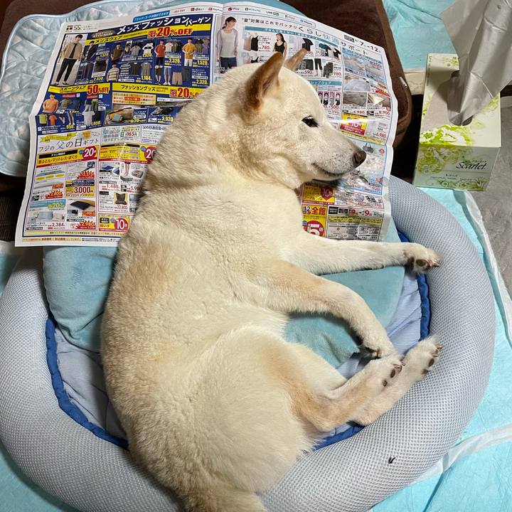 1dcb5e47 d5dc 4bb8 8d79 726bd9ad05d3 1654614289015