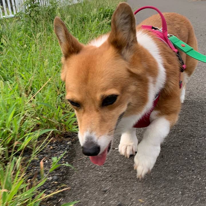 1dcb74e7 ecce 4739 92df 60c13894aae1 1630019774124