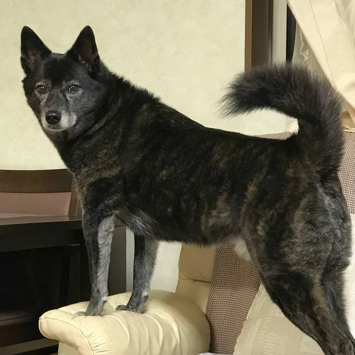 1dcb7909 3a83 4e99 8b4d 43d7dc0fc092 1509098990462