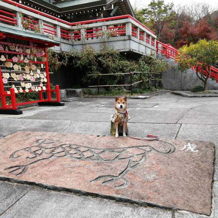 1dcb85e0 4937 45cb a2cb f2727155e23b 1638882565748