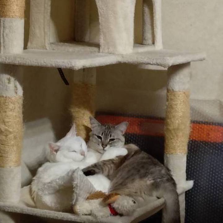 1dcb8fcc 189d 4041 bb51 f0ae20de7873 1771926358553