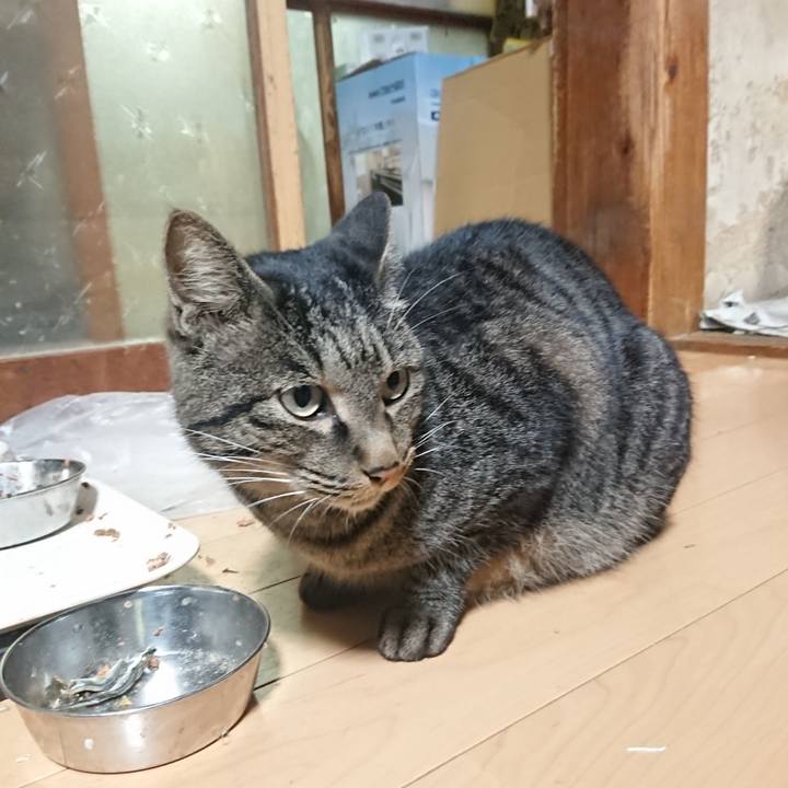 1dcba225 c70a 4d66 a9ae a91eaa2c0906 1633694574258