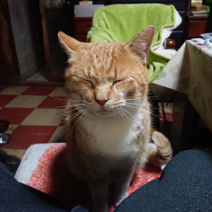 1dcba356 83a7 4abb ad82 2e79ef2f3f80 1583179101246