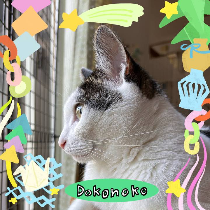 1dcbae9a 388f 4a82 9887 0361d2bccf8d 1755092129672