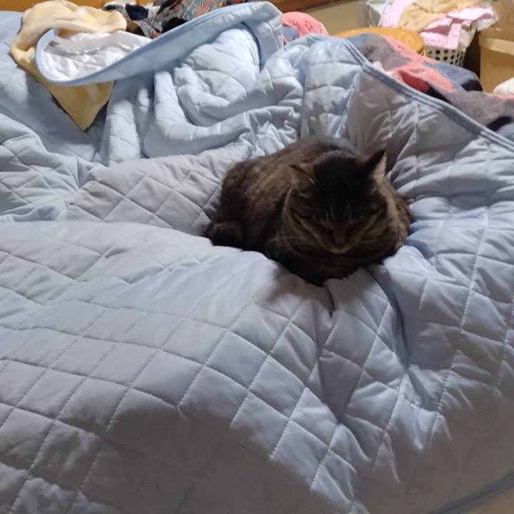 1dcbc58f c2c5 47db aab9 3beca655a523 1713476353001