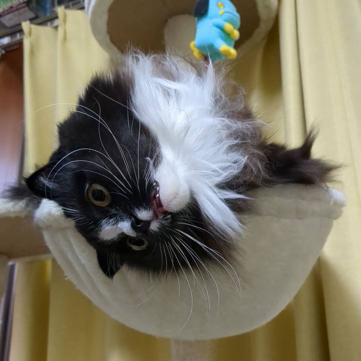 1dcbd402 d0fb 4238 a1bb 5df25134f72a 1671677389305